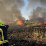 Другий день вирує пожежа біля села Міжлиманське Усатівської громади